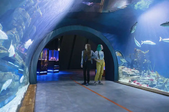 Fakultatywna wycieczka do Oceanarium w Stralsund Niemcy